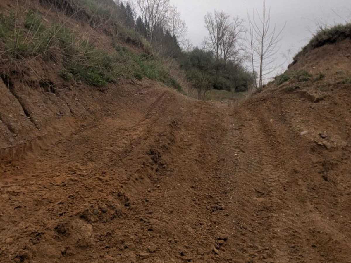 Rim Cut photo 3