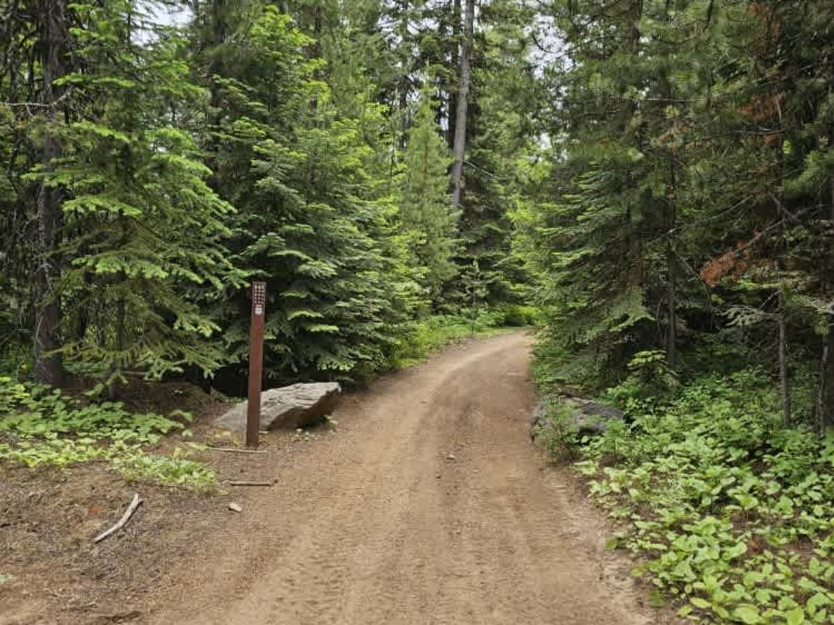 North to South Trail trail photo