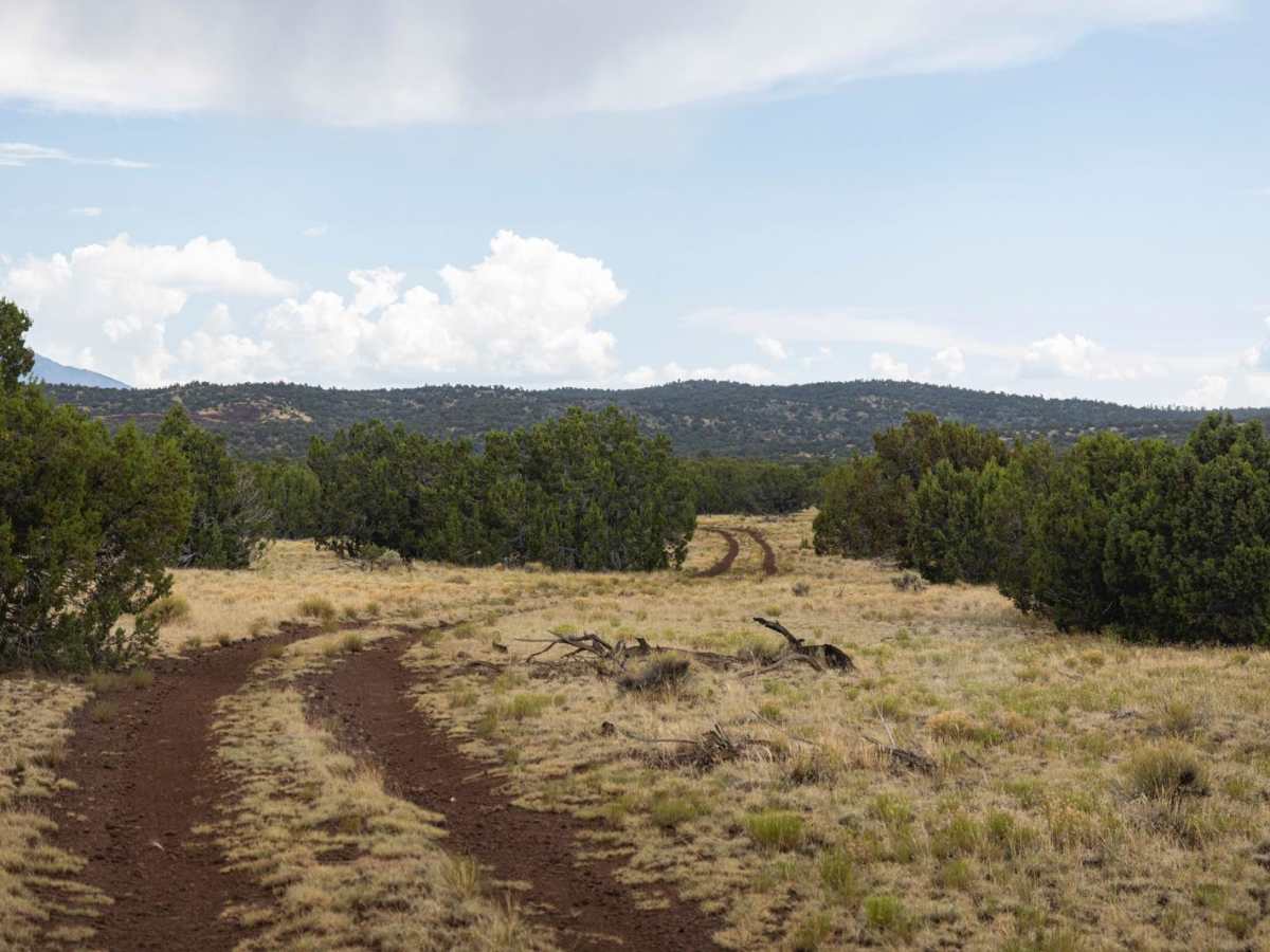 710 trail photo