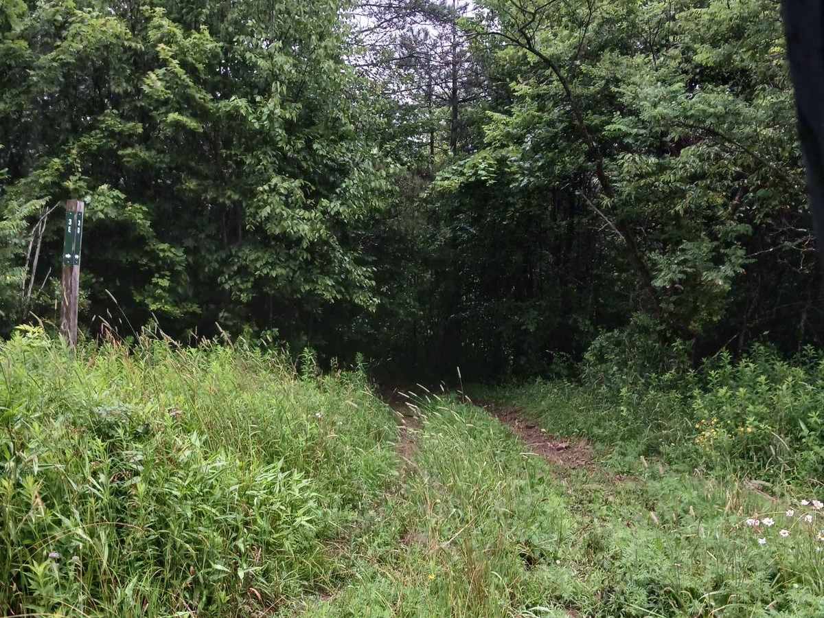 Trail 3D - Rock Run Recreation Area photo 4