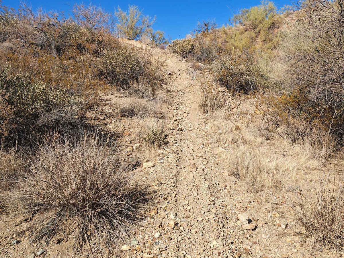 Wash to Sky - Single Track photo 3