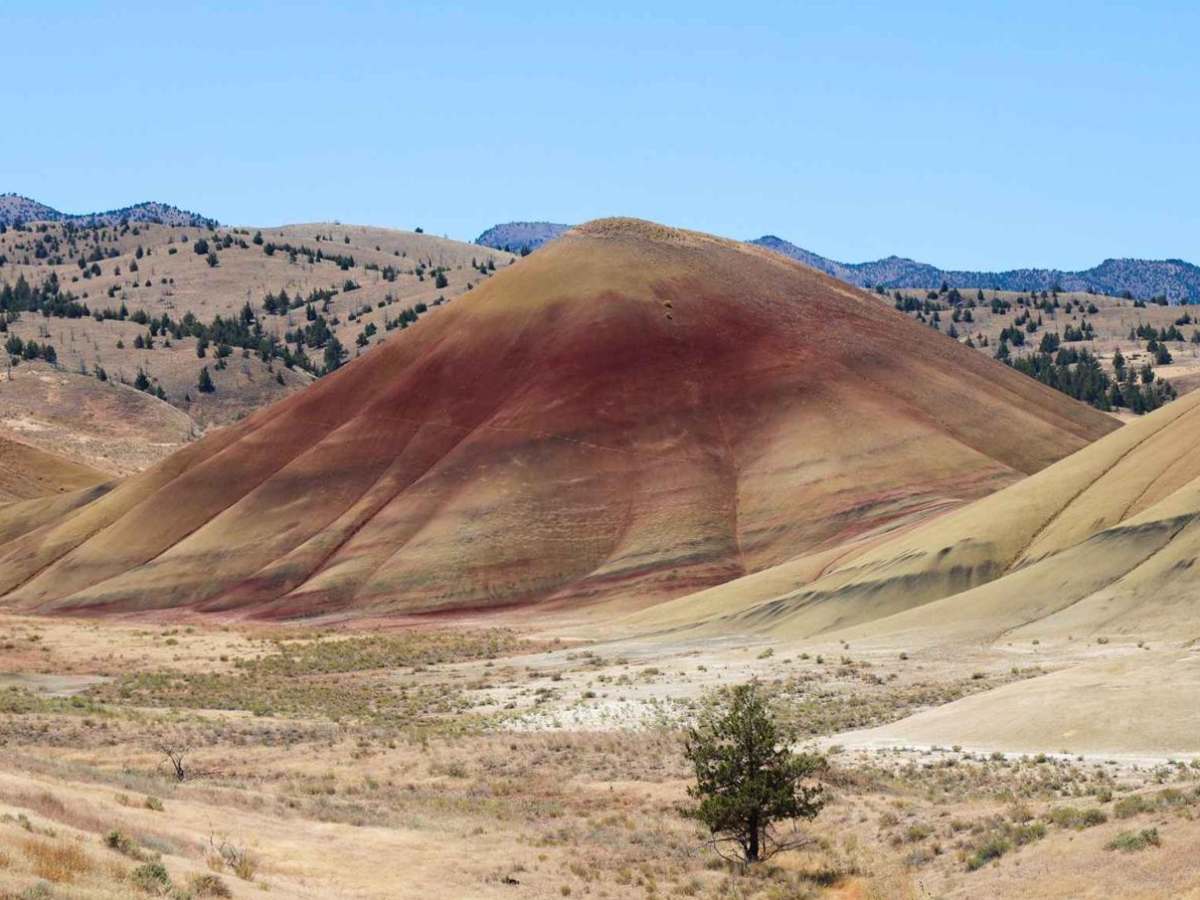 Bear Creek Road (Painted Hills Trail) photo 5