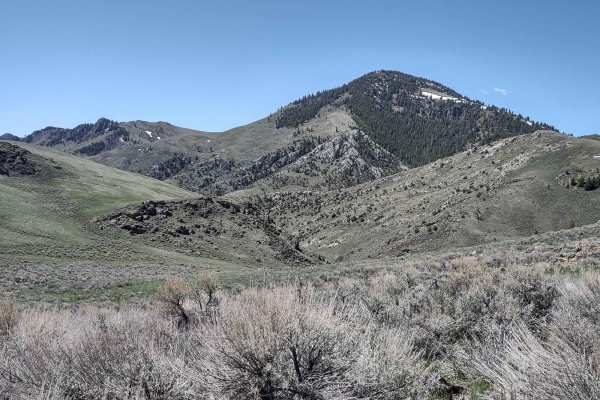 Timbered Dome - Hammond Spring Creek