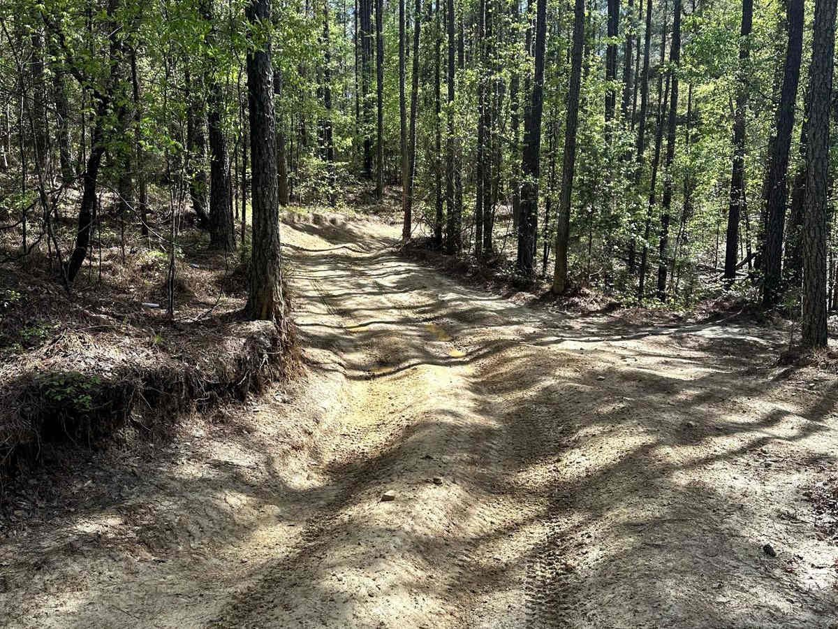 Trail 23 photo 6