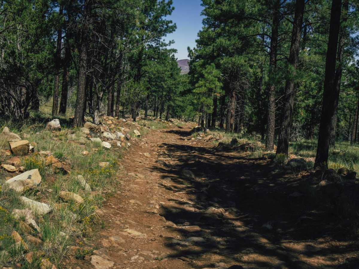 Bear Jaw Canyon photo 6