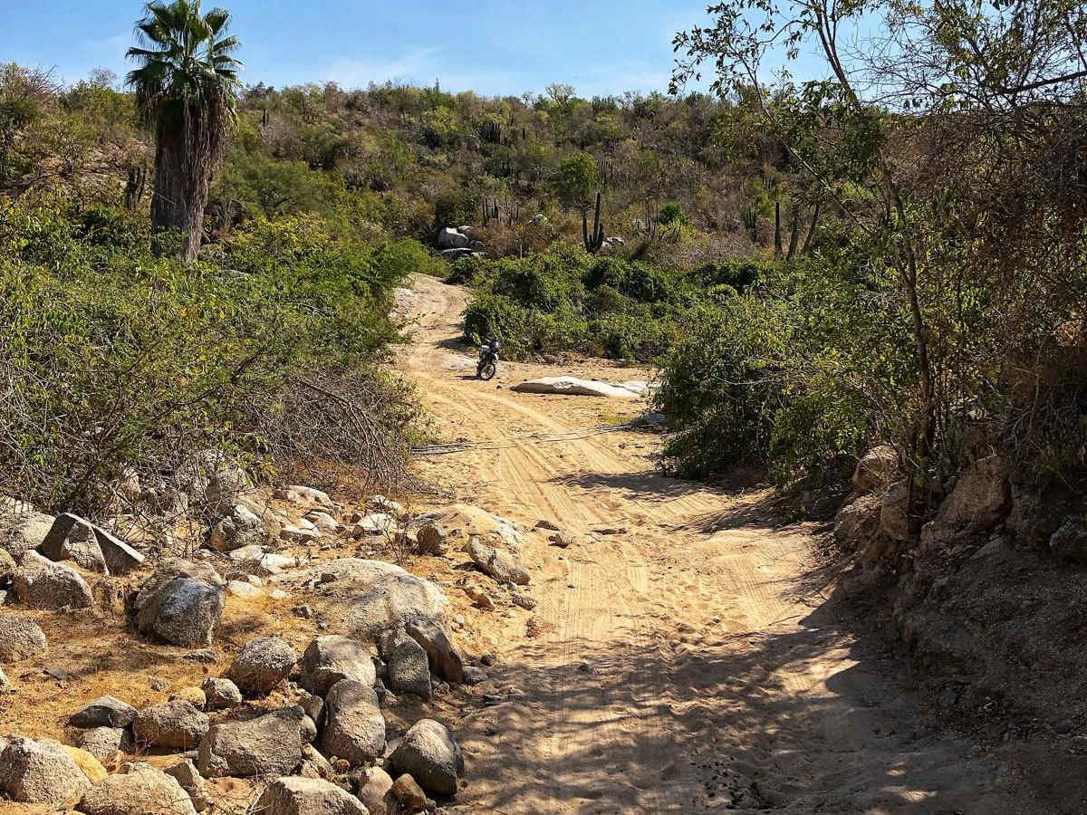 El Refugio photo 4