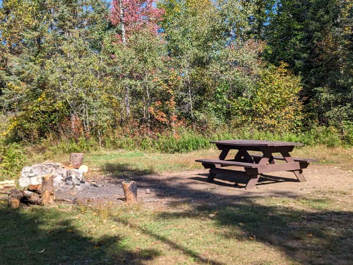 Bear Pond Trail photo 3