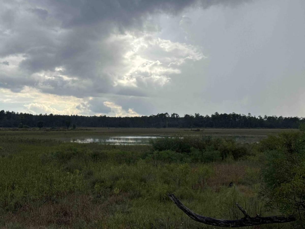 Lake Eaton Trail - ONF 5 photo 6