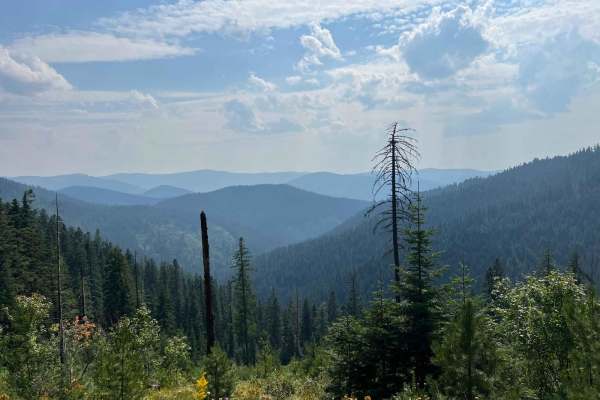 North Fork Road to Cascade Saddle
