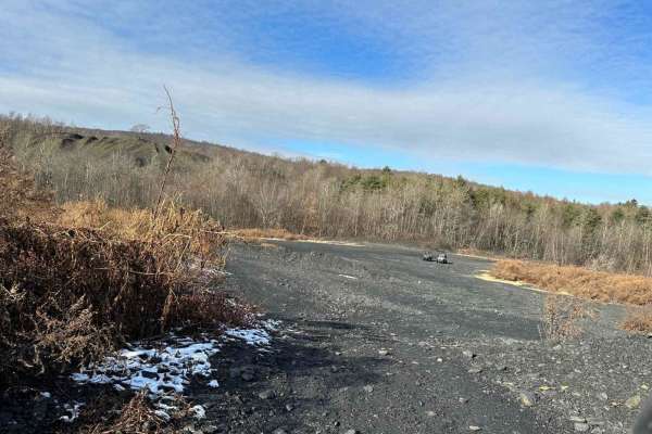 Locust Gap 1