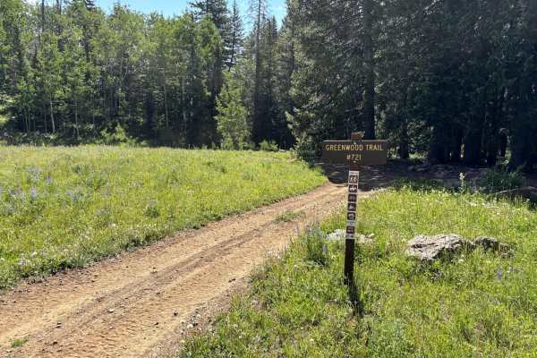 Greenwood Trail