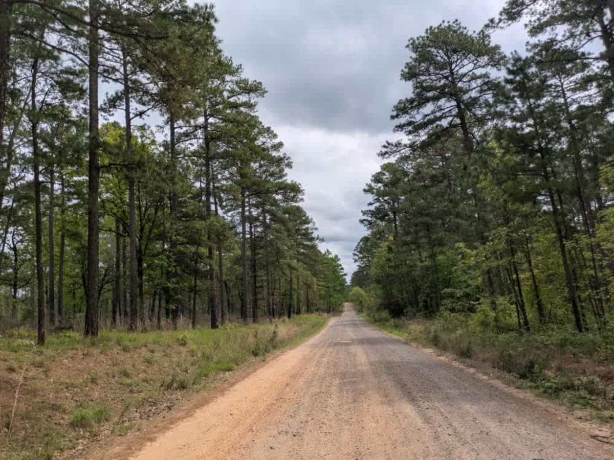 Spring Lake Road photo 3