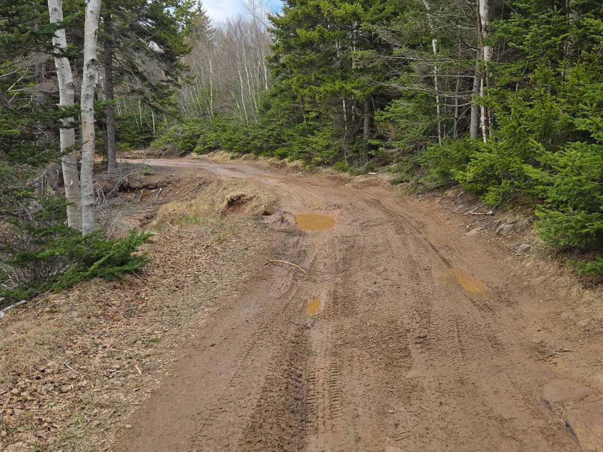 Beaumont Road photo 5