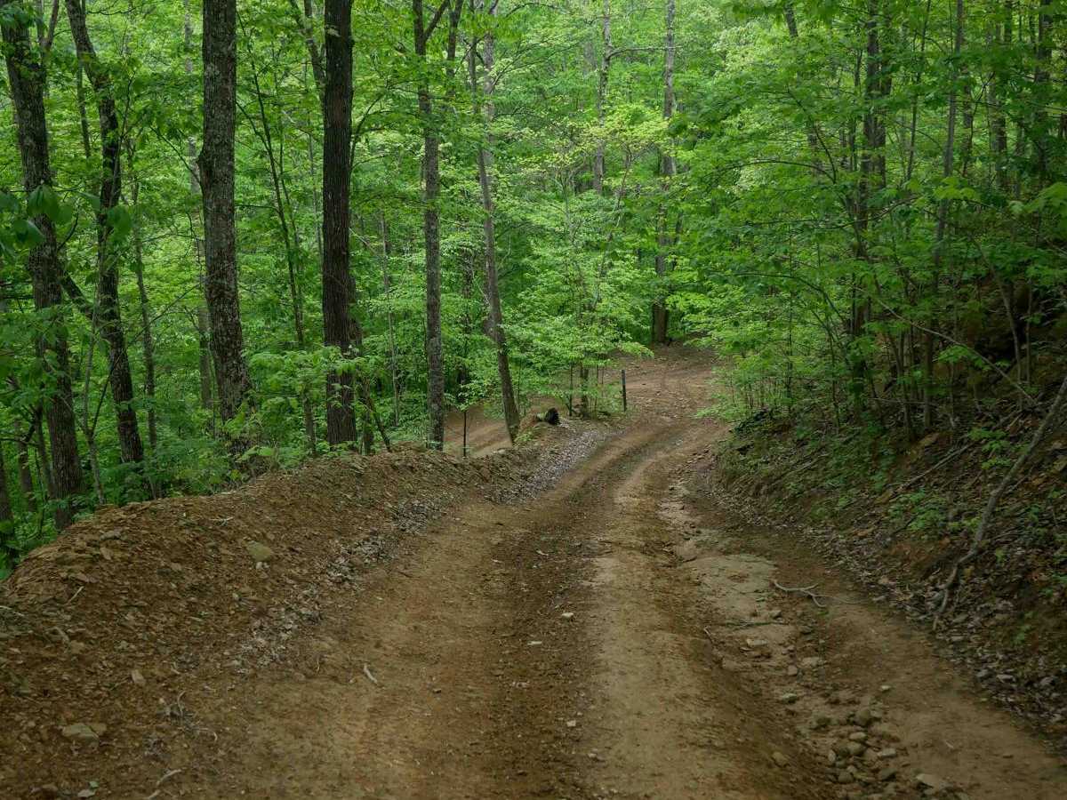 BM 42 trail photo