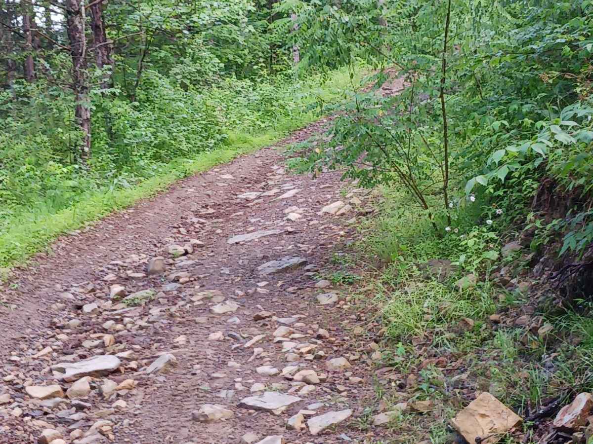 Trail 11D - Rock Run Recreation Area photo 5