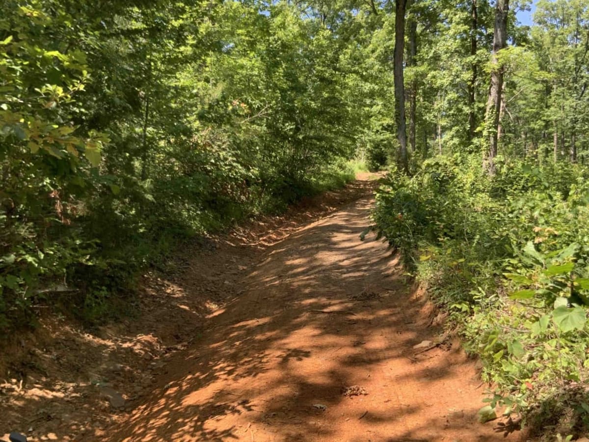 1541 / Briar Creek photo 4