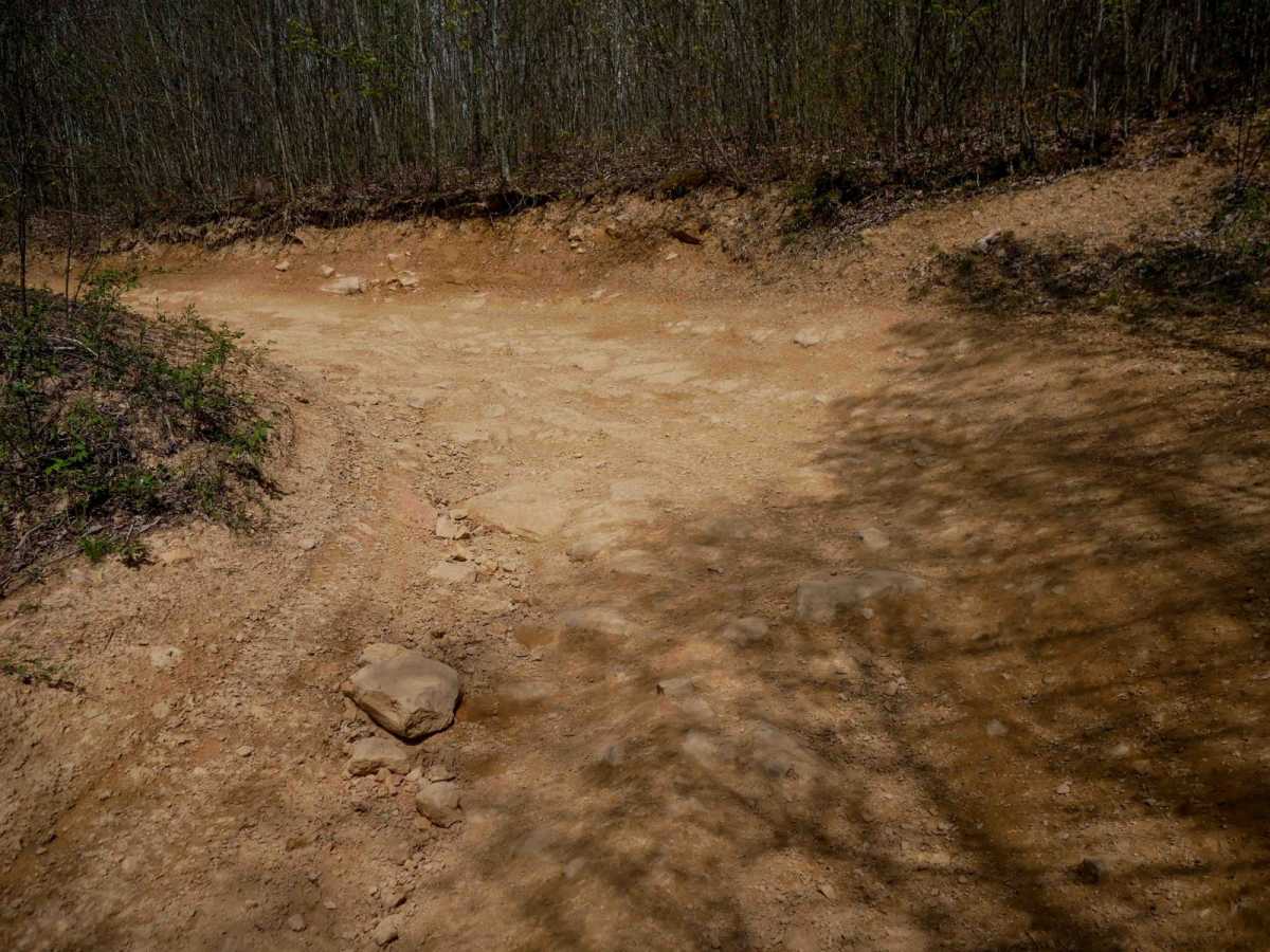 P24 photo 4
