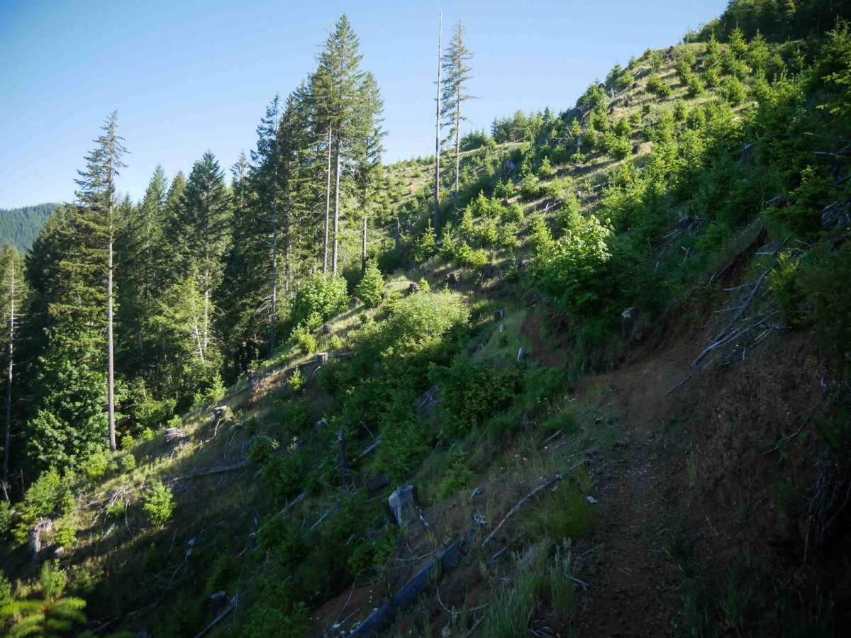 Odin's Ridge #72 photo 4