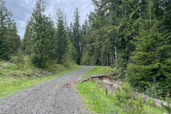 Forest Service Rd 3320E West