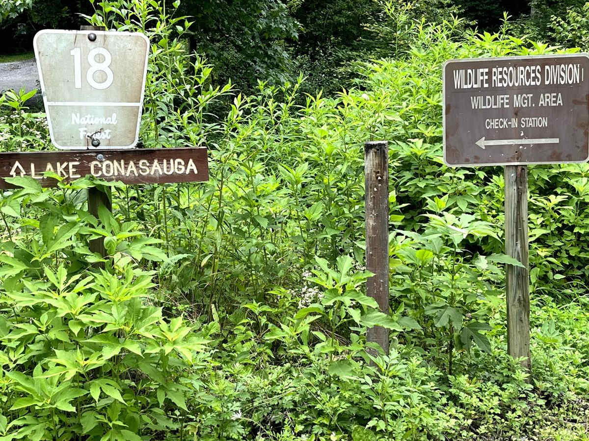 Mulberry Gap Road trail photo