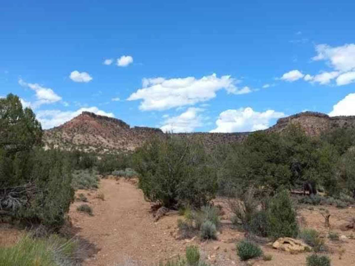 Wolverine Loop Road photo 5