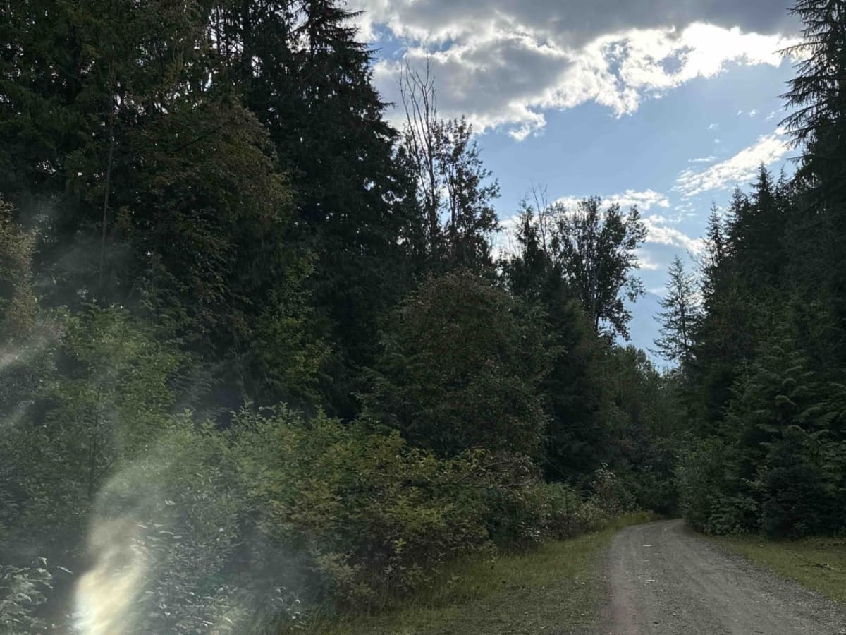 South of Trout Lake to Meadow Mountain Trail photo 4
