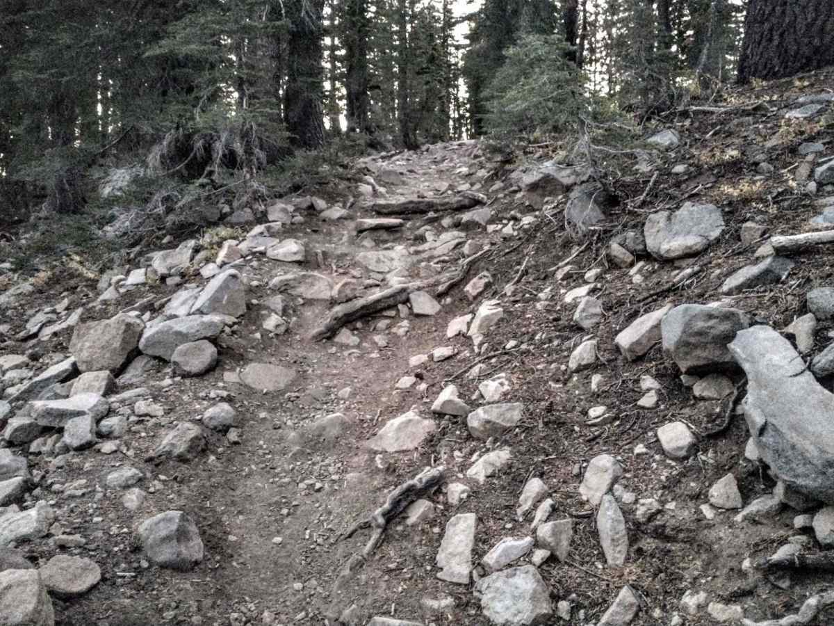 Ellis Peak Bike Trail photo 6