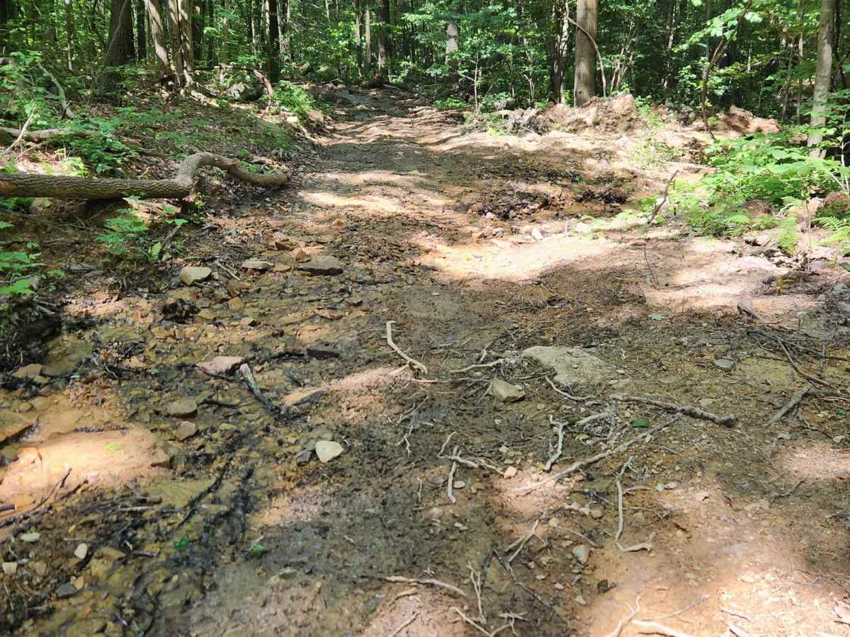 Trail 2C - Rock Run Recreation Area photo 6