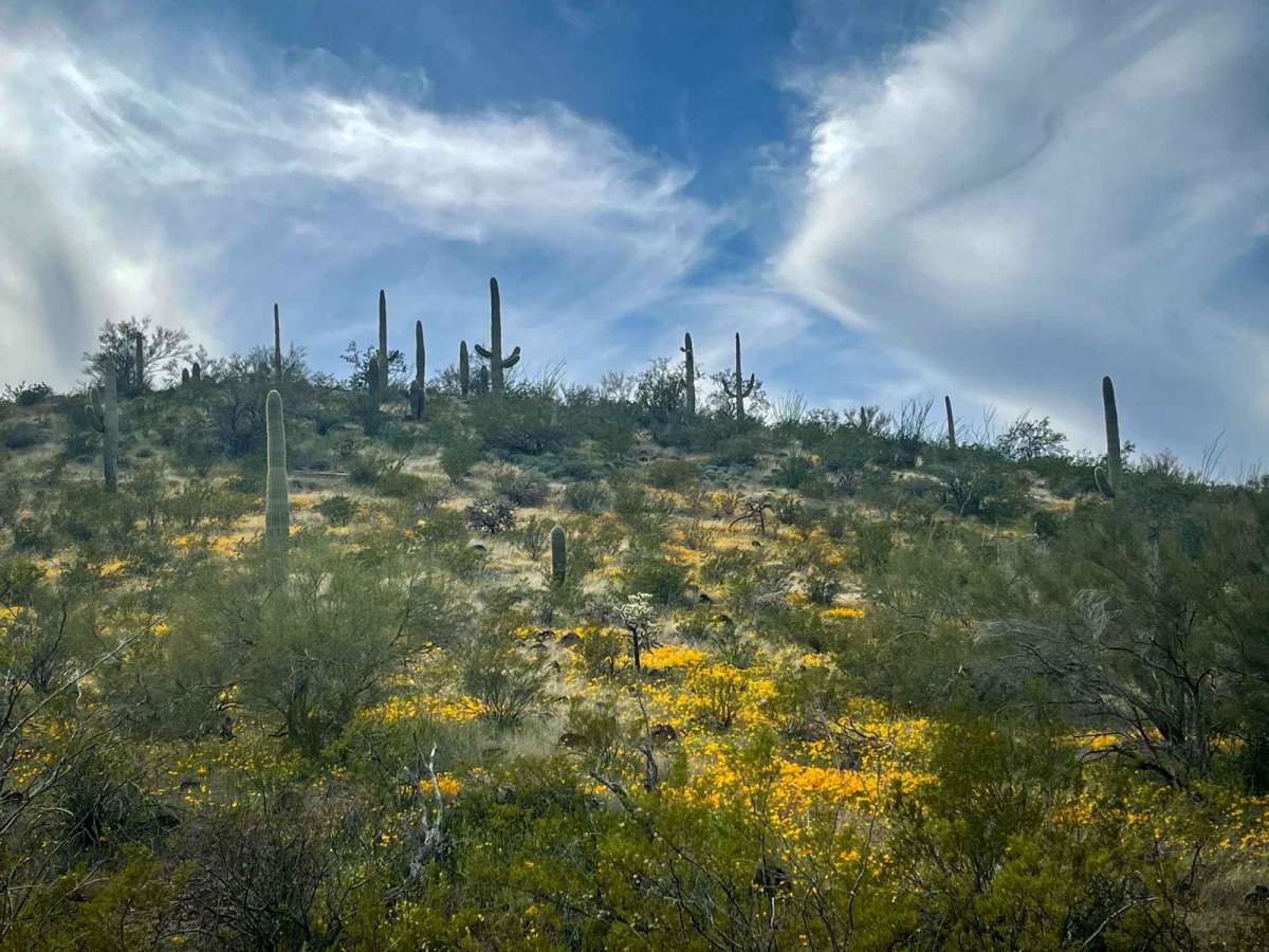 Pipeline Trail photo 5