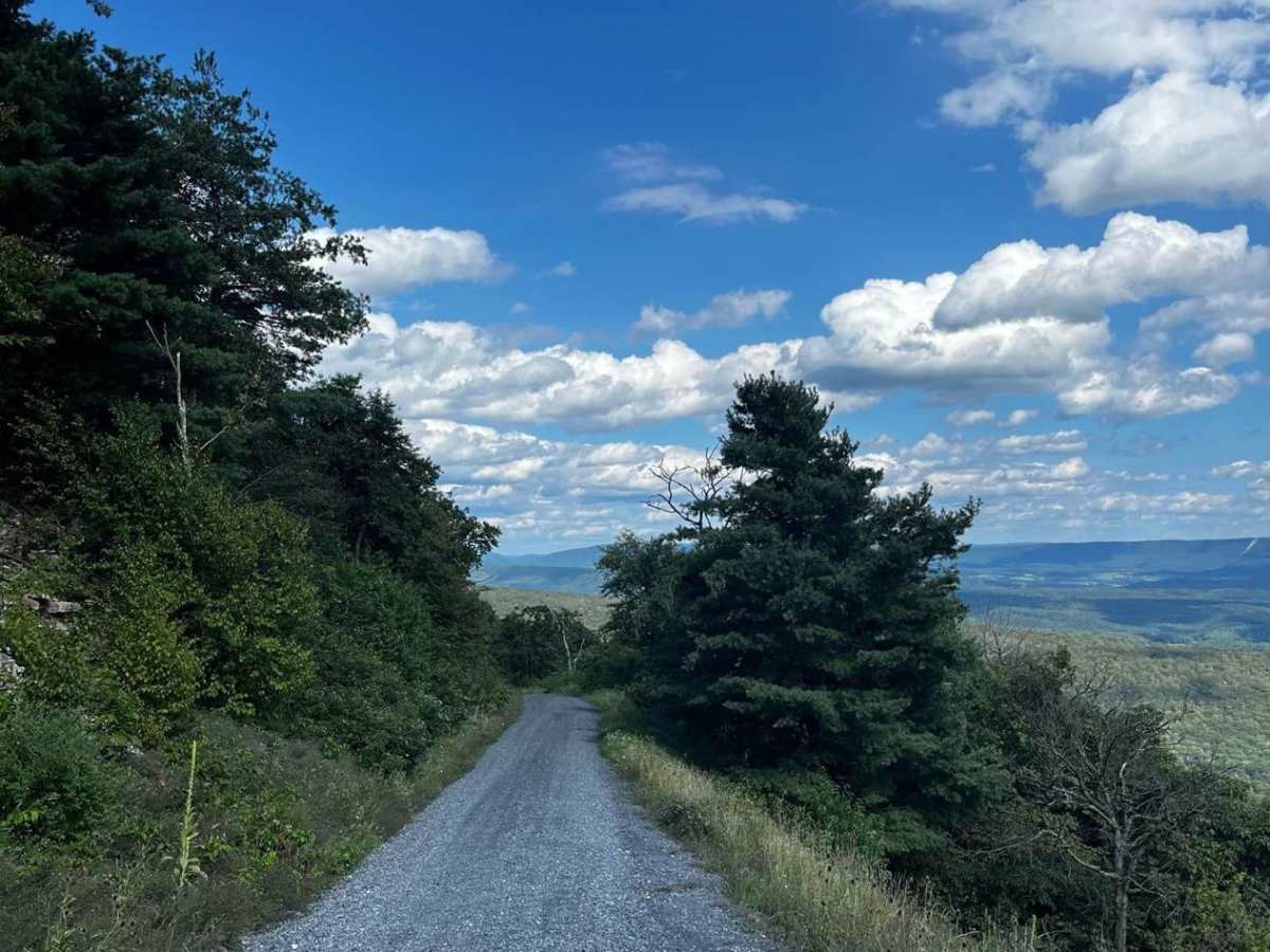 Brady Road photo 5