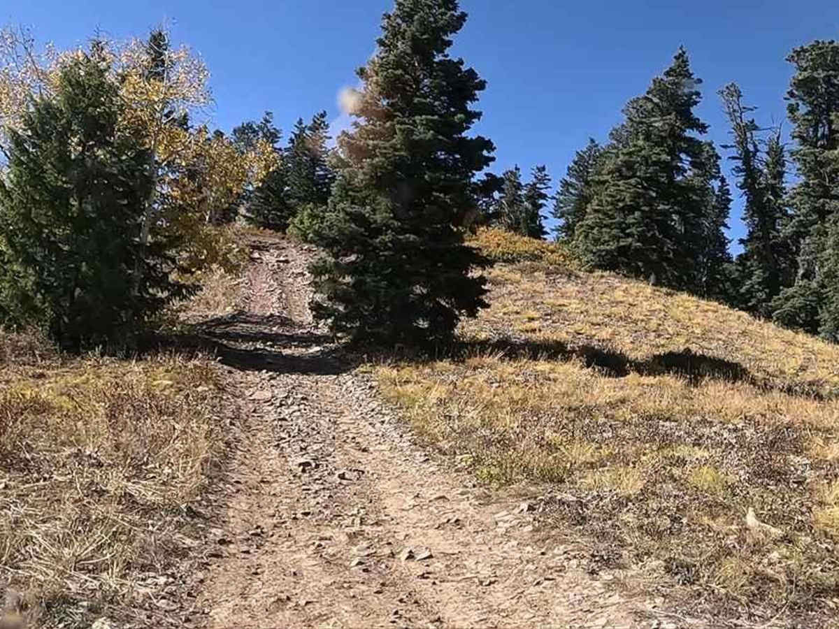 FS 80178 Upper Cedar Hollow OHV photo 6