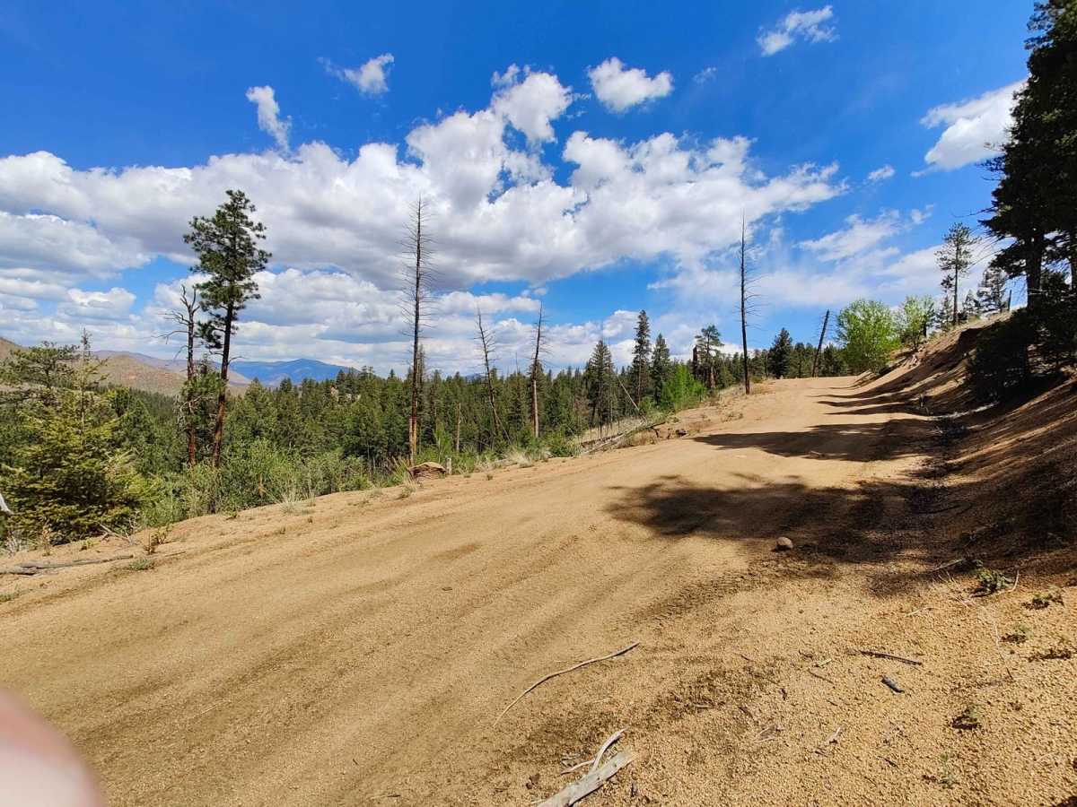 Cedar Mountain Road - Teller County Road 51 photo 4