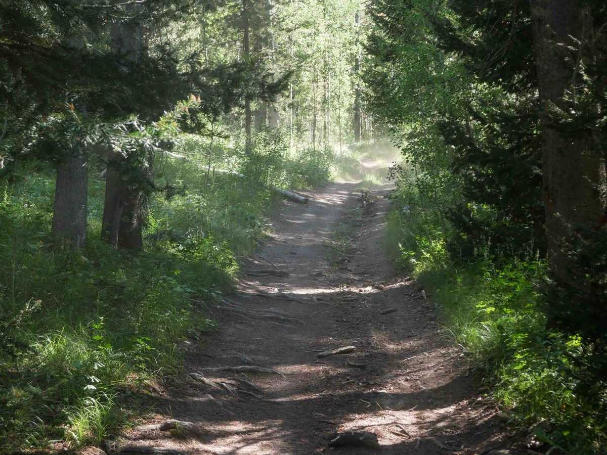 Horseshoe to Harrington #5212  photo 6