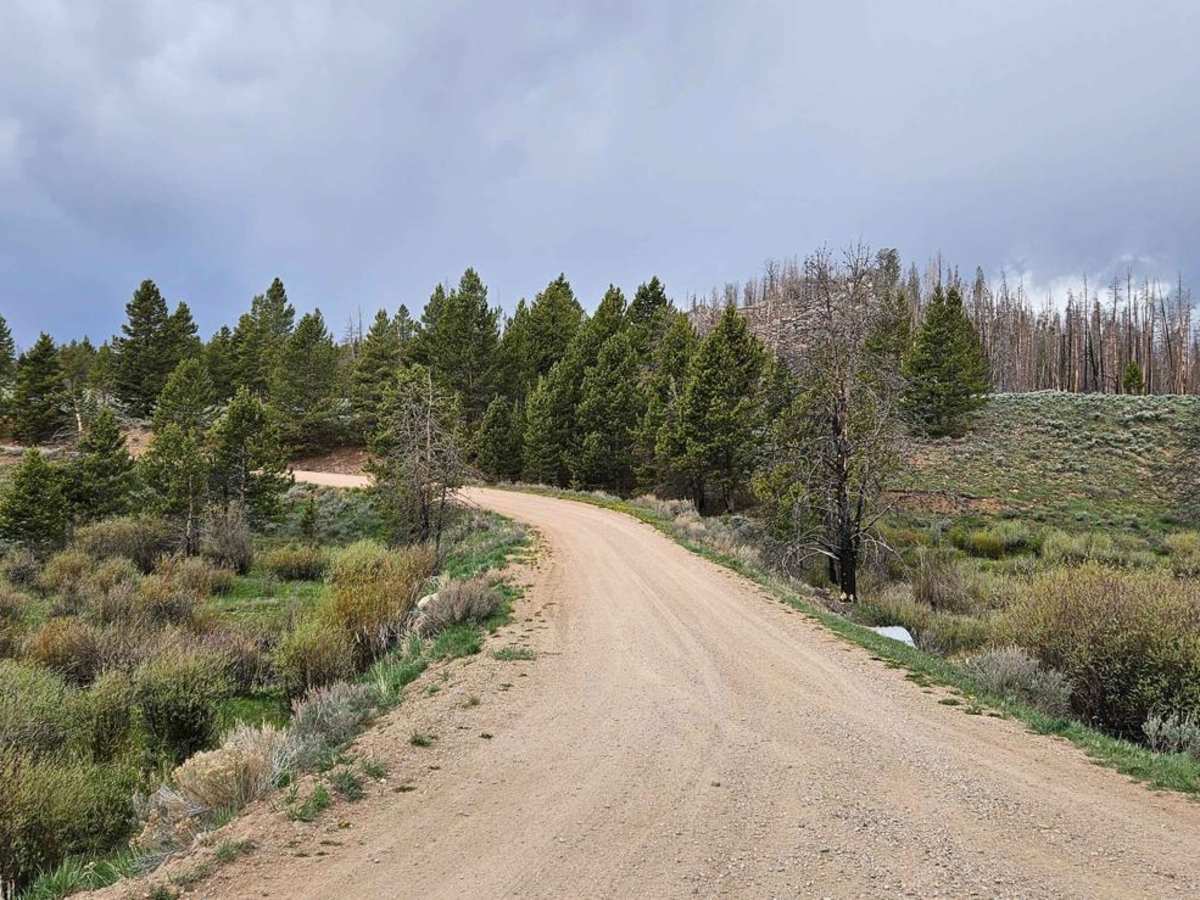 FS516 to Platte Ridge trail photo