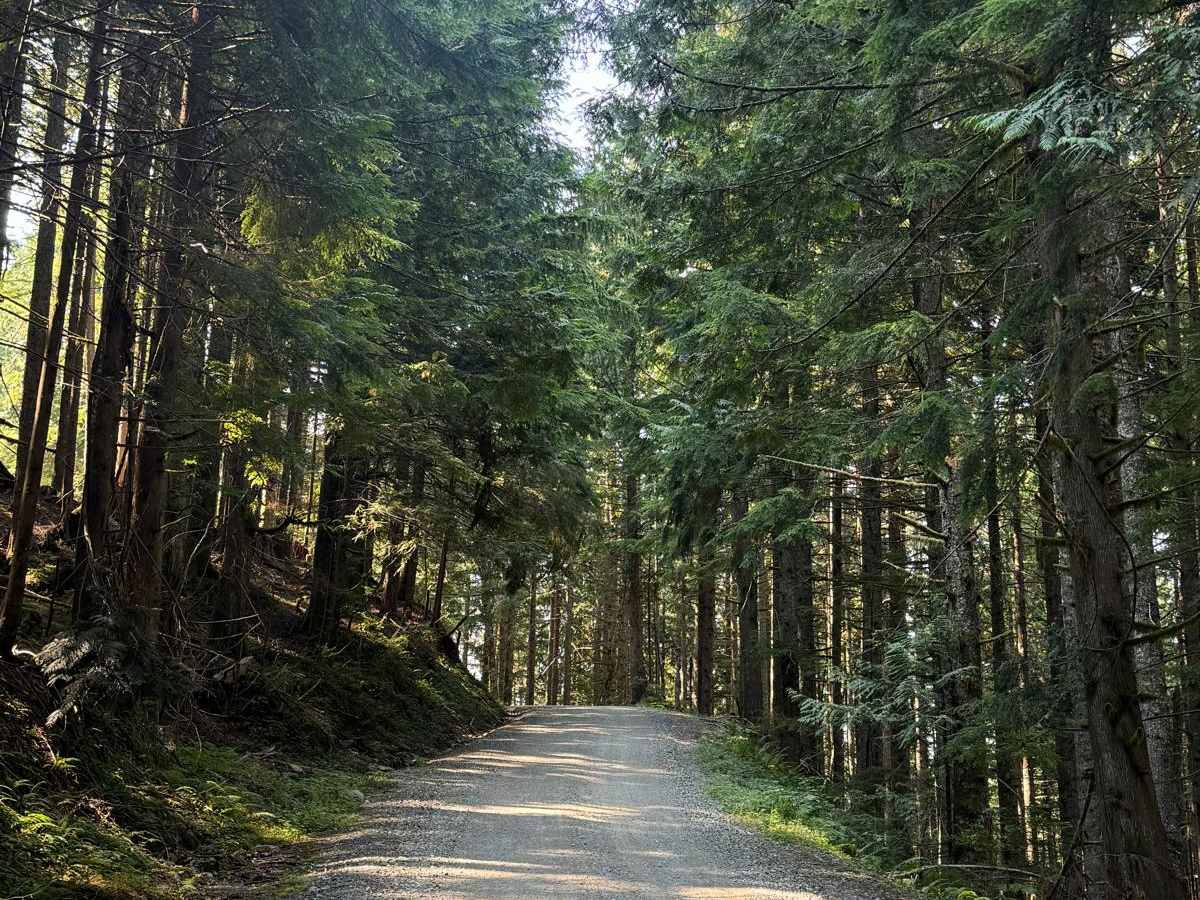Boardman Lake Trail photo 6