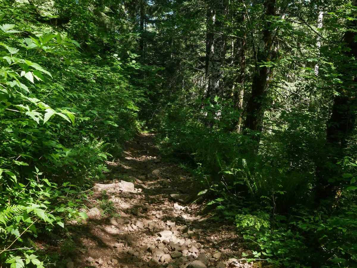 Tri Loop #111 photo 4