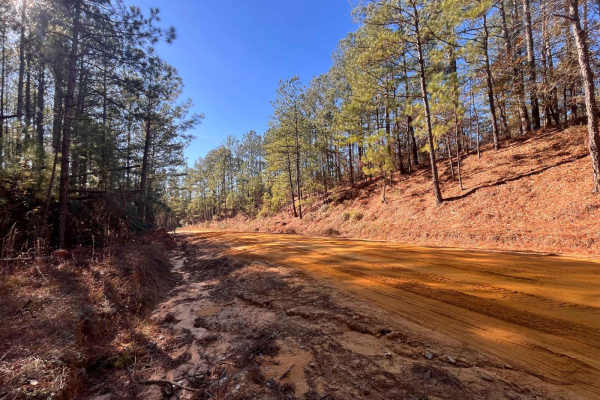 Mason Branch Road