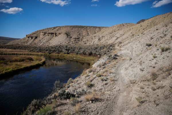 Cow Gulch