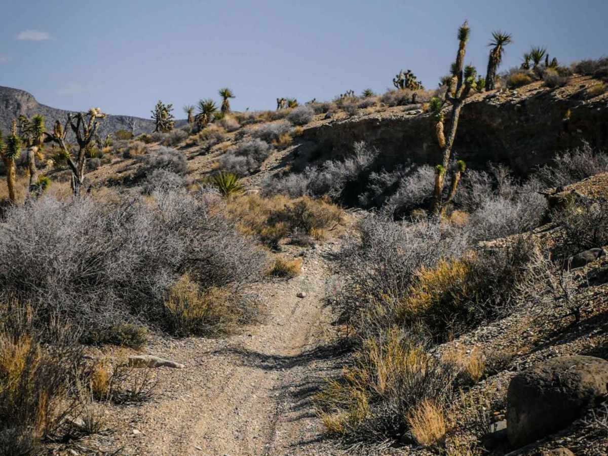 Carpenter Canyon Trail trail photo