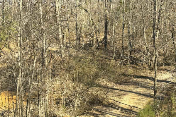 Creek Trail Bypass