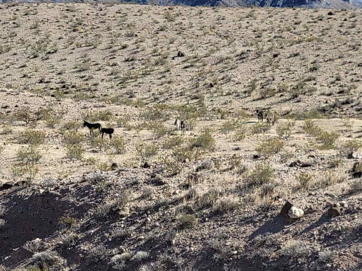 Buck Wash Road photo 5