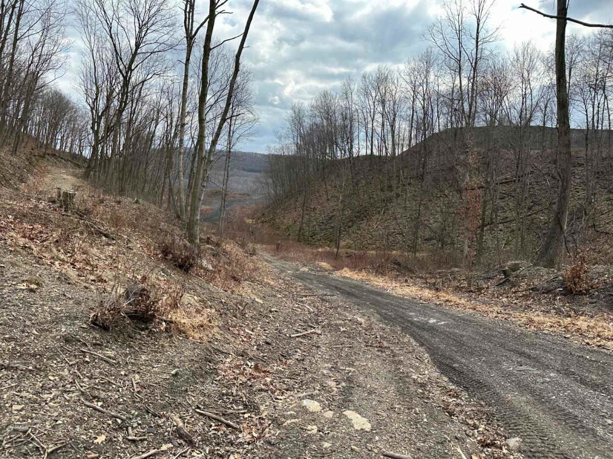 Ashland 64 photo 2
