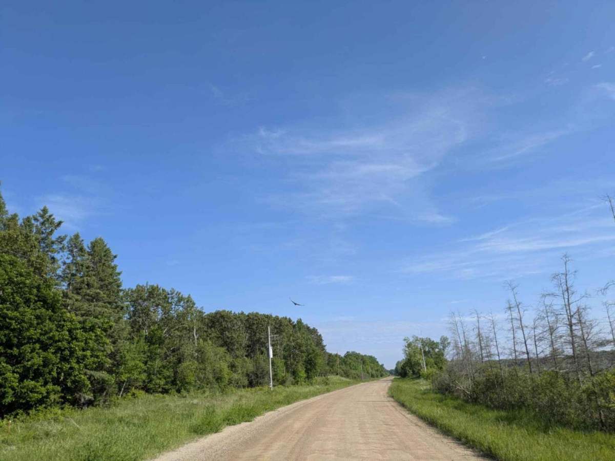County Road 55 photo 3