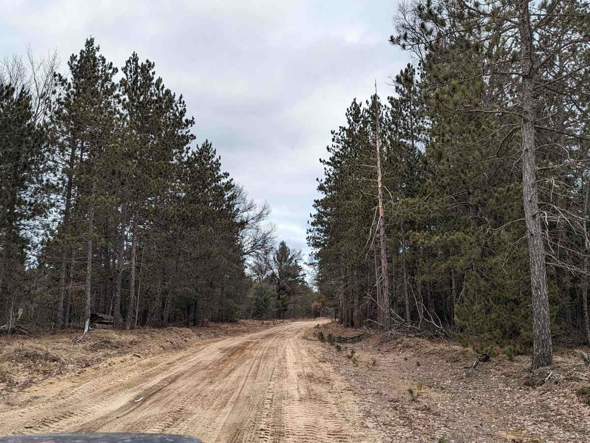 Tank Trail photo 4