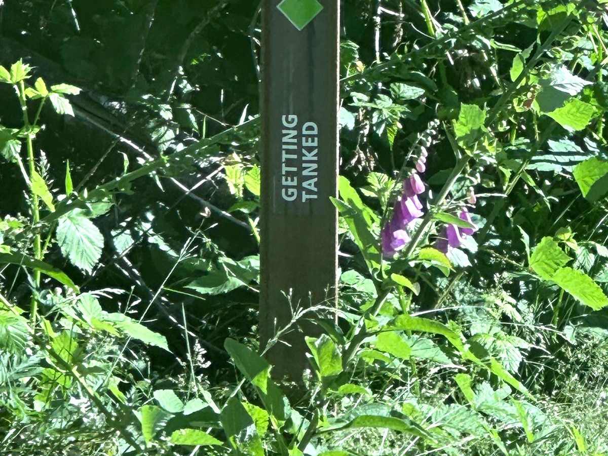 Getting Tanked trail photo