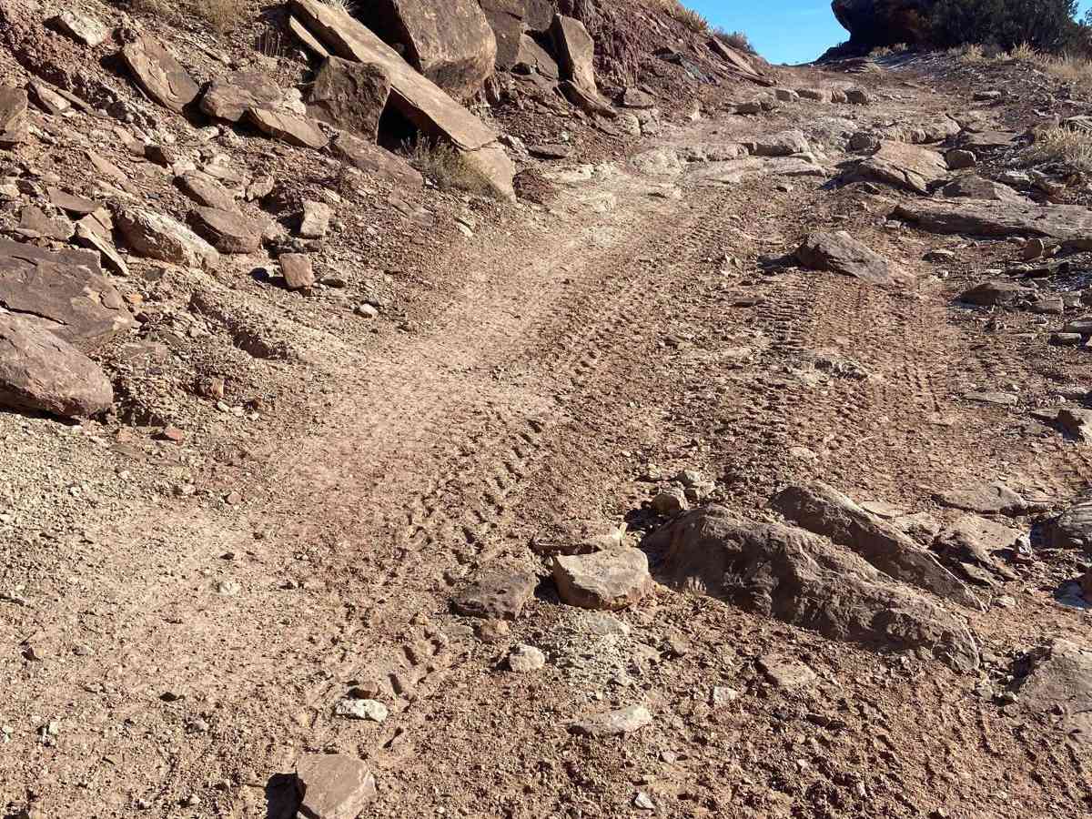 BLM Route 31 photo 4