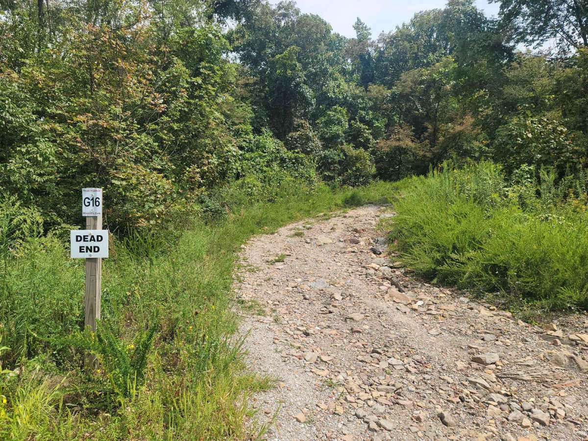 G16 - Sassafras Mountain trail photo