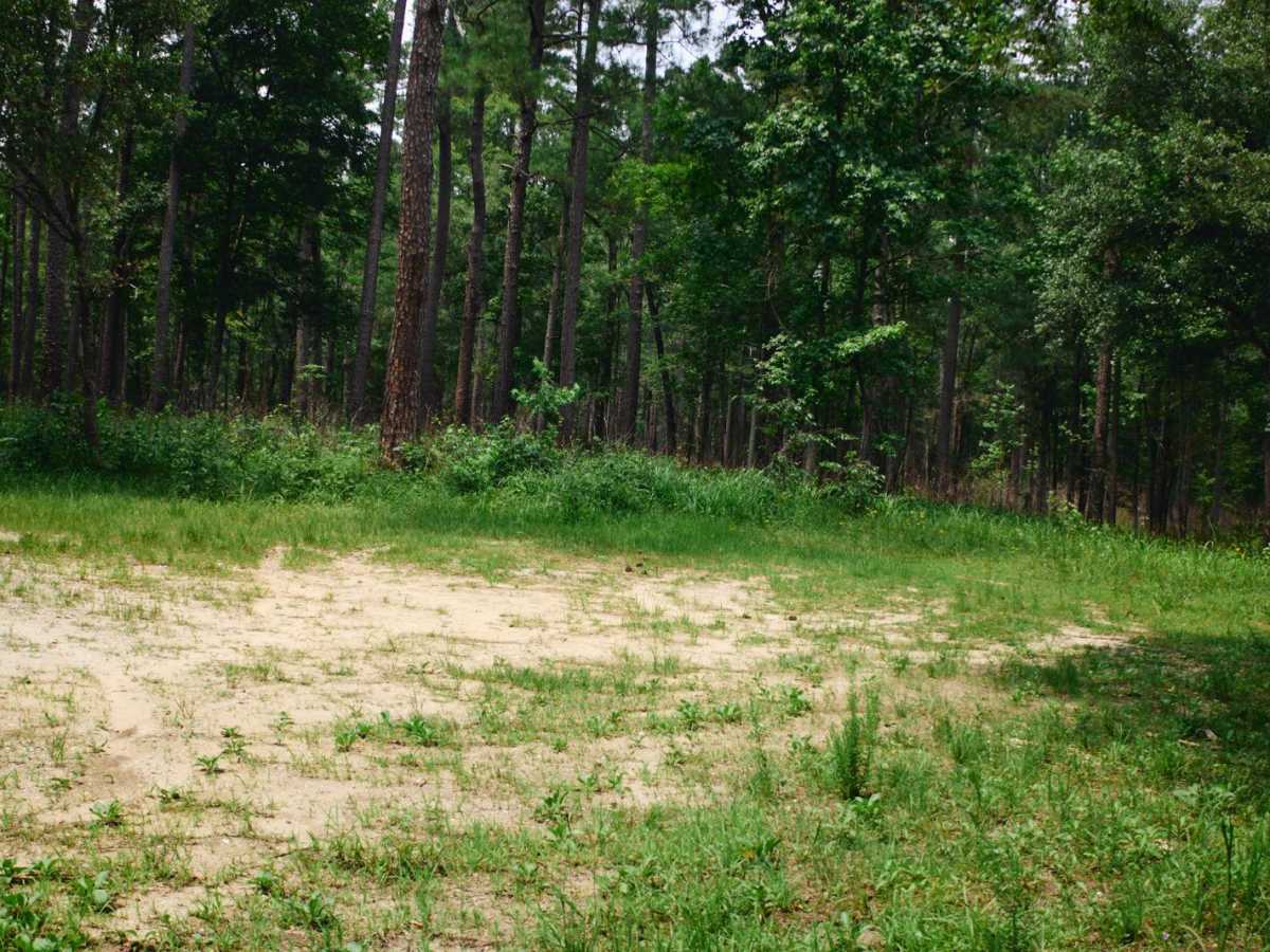 Guilliard Lake Spur - FSR 105C photo 2