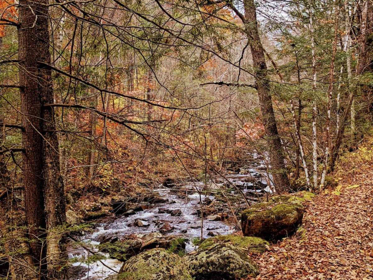 Washington Mountain Road photo 6