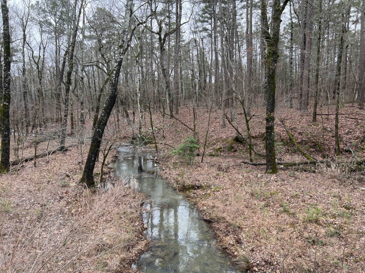 Alum Fork Road 114 photo 3